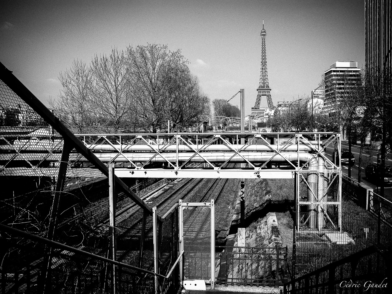 Vue en noir et blanc d'un paysage urbain avec des structures métalliques et des arbres, mettant en avant la Tour Eiffel au loin.