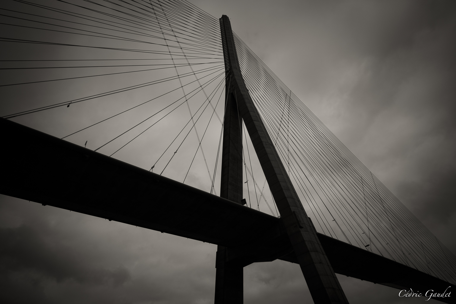 Étiquette : cathédrale