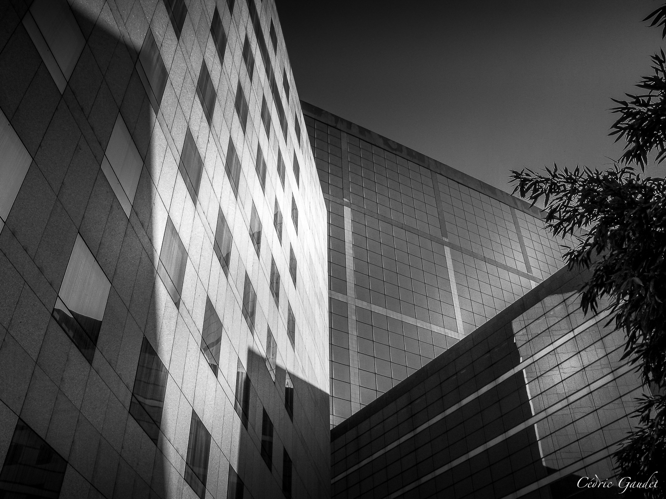 Une vue en angle de deux bâtiments modernes, capturant la lumière et les ombres sur des façades en verre et en béton.