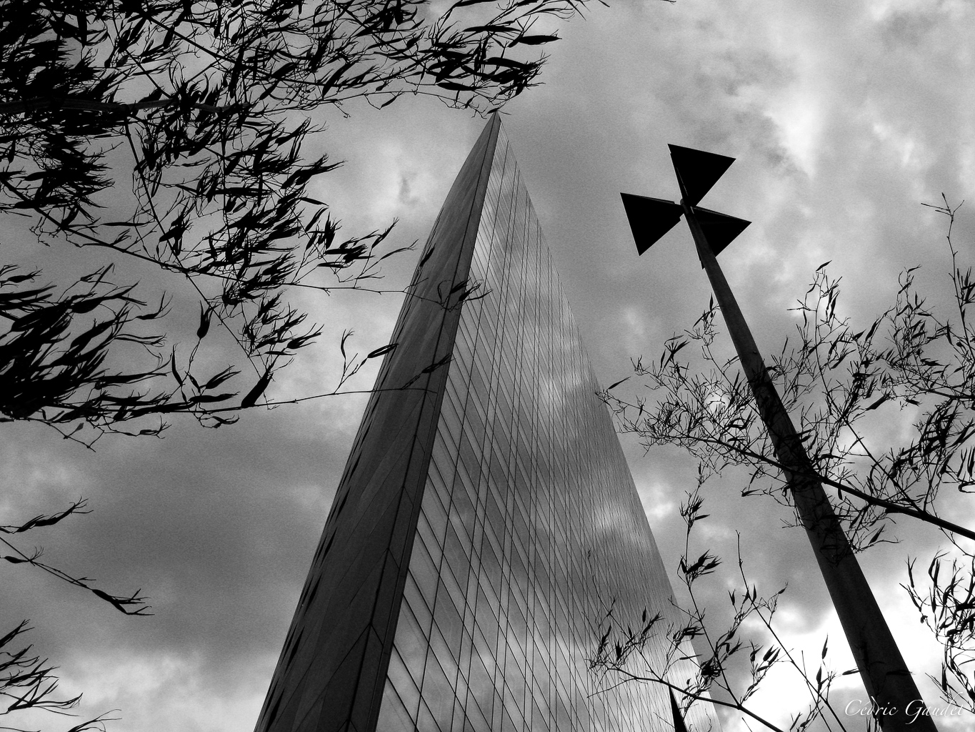 Vue en contre-plongée d'un immeuble moderne, entouré de branches d'arbustes, dans une tonalité noir et blanc, avec un ciel nuageux en arrière-plan.