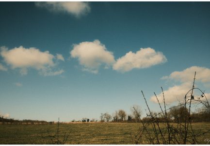 Entre deux saisons…