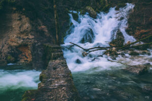 H²O – Allondon river
