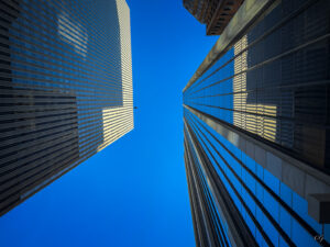 Perspectives NY